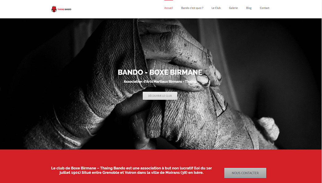 Création de site web box birmane Moirans