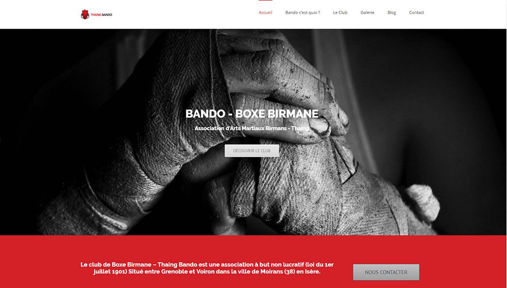 Cr&eacute;ation de site web box birmane Moirans